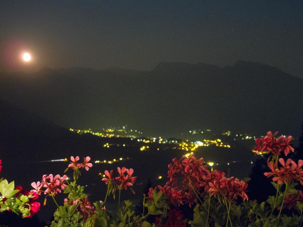 B&B Alba Sul Lago Pergine Valsugana Exteriér fotografie