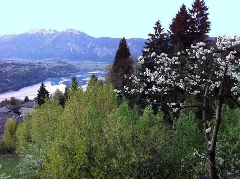B&B Alba Sul Lago Pergine Valsugana Exteriér fotografie